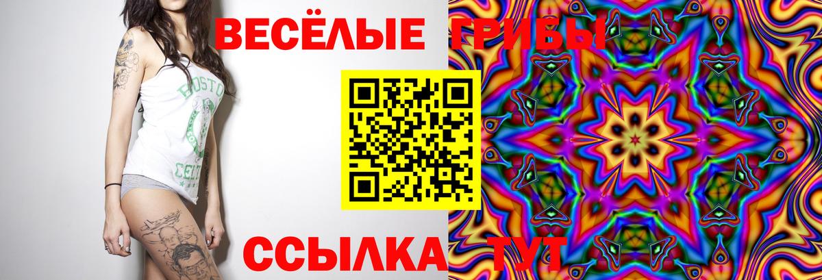 Псилоцибиновые грибы Magic Shrooms  Галлюциногенные грибы Cubensis  Губаха  Вход с VPN 