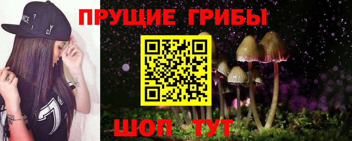 Псилоцибиновые грибы прущие грибы Губаха